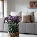 Paraiso A Beira Mar -sol E アパート ポルティマン